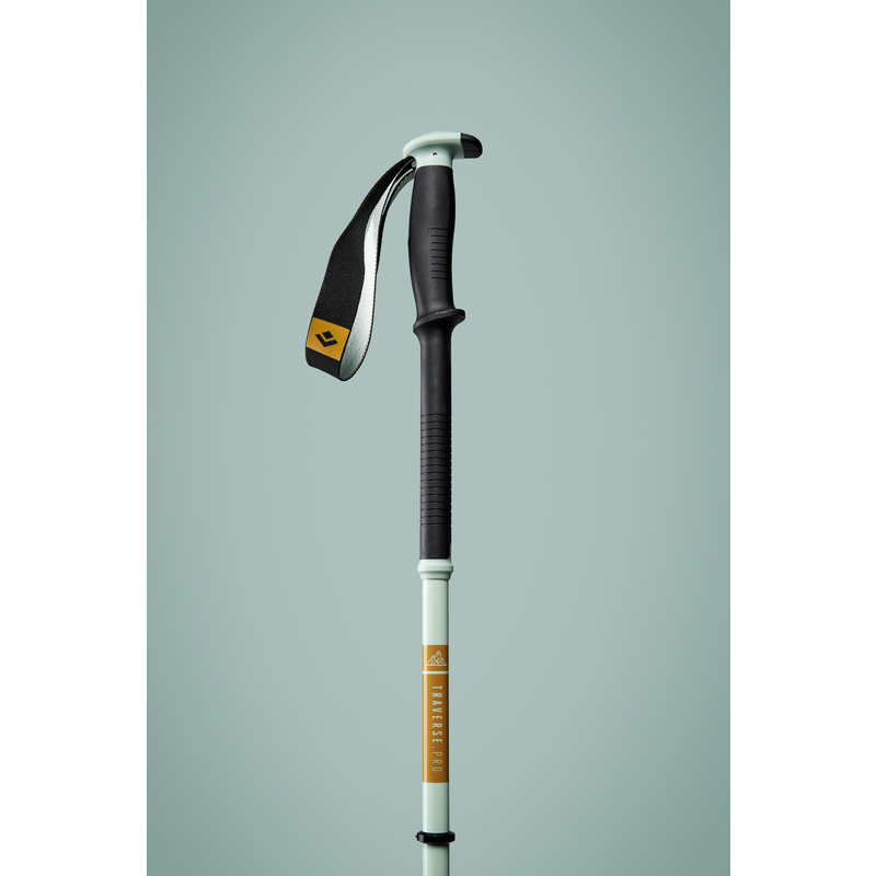 Traverse Pro Ski Poles – Black Diamond